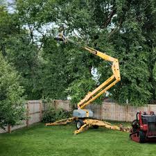 Best Storm Damage Tree Cleanup  in Northwest Harwinton, CT